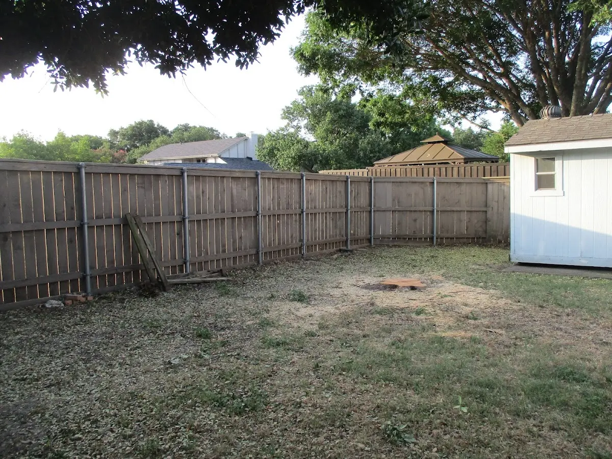 Cleared yard after professional tree removal in Shippenville